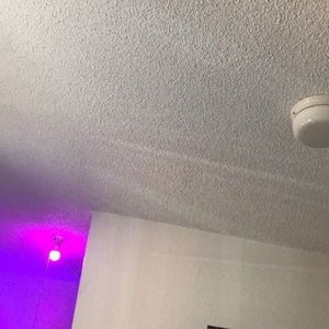 Meet your Posher, Max